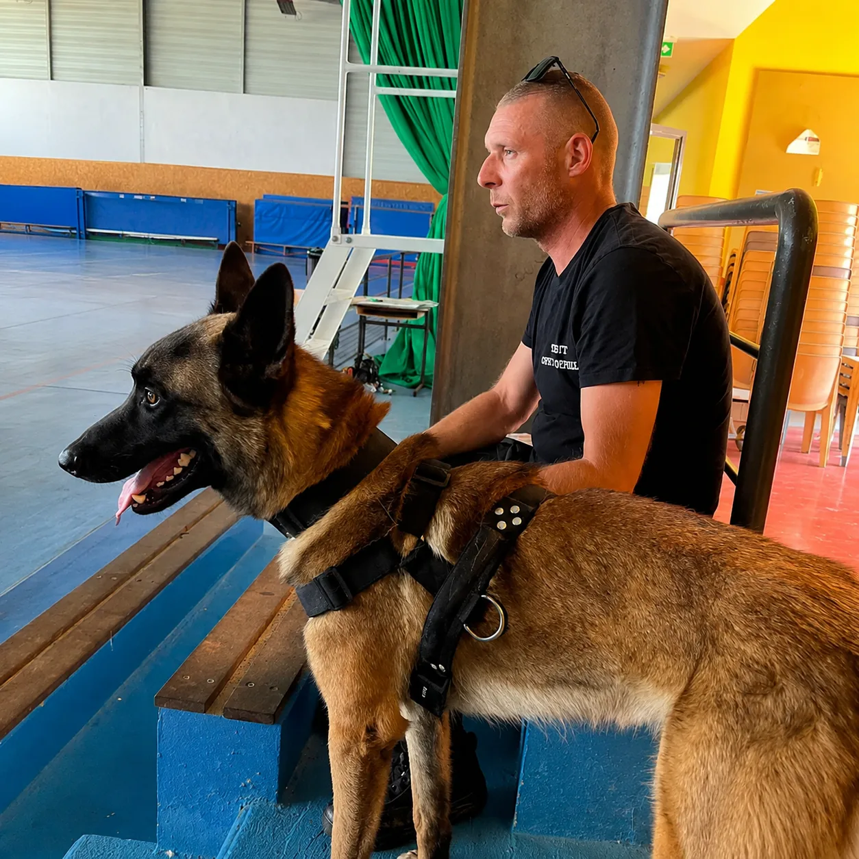 Le maître-chien DSI avec Urkos assis dans les gradins